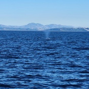 Photo submitted by Brenda