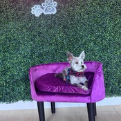 Photo submitted by Camin