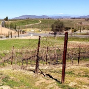 Photo submitted by Jake