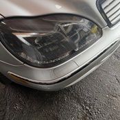 Photo submitted by Guest