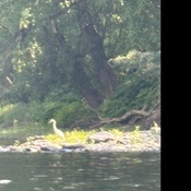 Photo submitted by Nicole