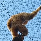 Photo submitted by Trista