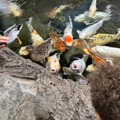 Photo submitted by Alana