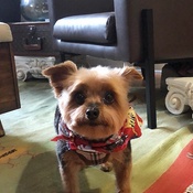 Photo submitted by jessica.rockow