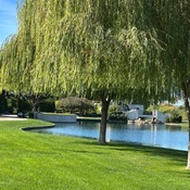 Photo submitted by Groupon