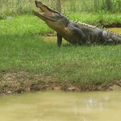 Photo submitted by Mia