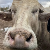 Photo submitted by Vanessa