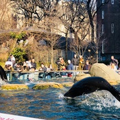 central park zoo groupon