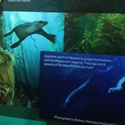 Photo submitted by Adria