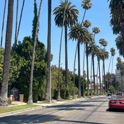 Photo submitted by Kelli