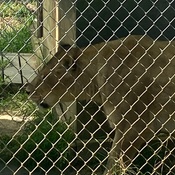 Photo submitted by Jeffrey