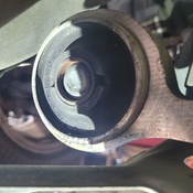 Photo submitted by Miranda