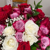 Photo submitted by S.