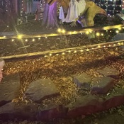 Photo submitted by Trinekia