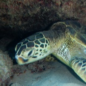 Photo submitted by Melissa