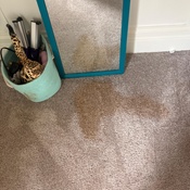 Photo submitted by Aubry