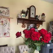 Photo submitted by cheryl