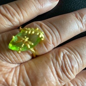 Photo submitted by Iris