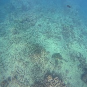 Photo submitted by Cristian