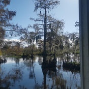 Photo submitted by Ti'