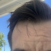 Photo submitted by mahsa