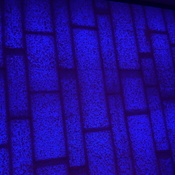 Photo submitted by Barbara