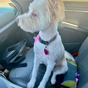 Photo submitted by Mariangela