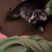 Photo submitted by Ana