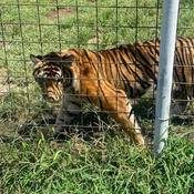 Photo submitted by Jeffrey