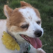 Photo submitted by Jennie