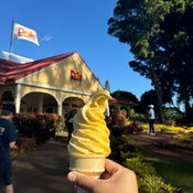 Photo submitted by faye