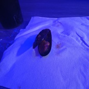 Photo submitted by Danielle