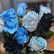 Photo submitted by Denise