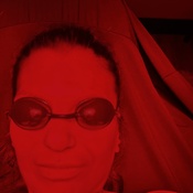 Photo submitted by Guest