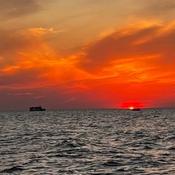 Photo submitted by rhonda