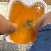 Photo submitted by Juana