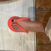 Photo submitted by Ally