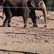 Photo submitted by David