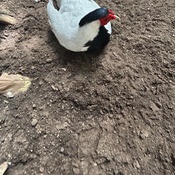 Photo submitted by Joseph