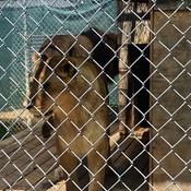 Photo submitted by Jeffrey