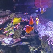 Photo submitted by Kendra