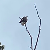 Photo submitted by carmen