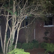 Photo submitted by joseph