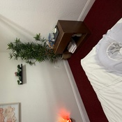 Photo submitted by Tammy