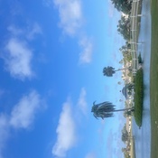 Photo submitted by donna