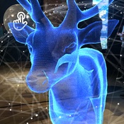 Photo submitted by Tim