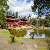 Photo submitted by Suzanne