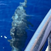 Photo submitted by Jeff