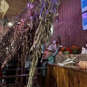 Photo submitted by Kristin