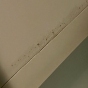 Photo submitted by Missy